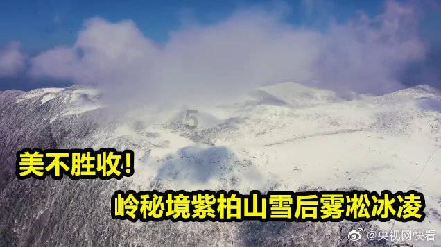 蜗牛问答平台——帮别人实名电话卡会怎么样?问题在线解答