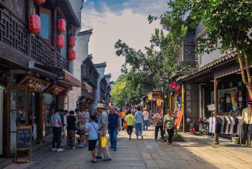 动物帮帮忙保卫家园